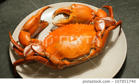 Phantom crab Doumangani Phantom crab Doumangani 107851740