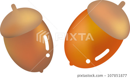 Vector illustration of acorn in watercolor style 107851877