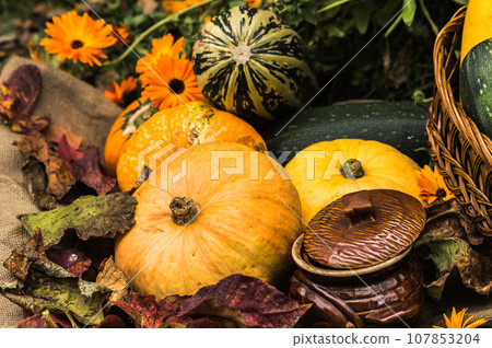 Autumn still life with pumpkins, leaves and flowers in the garden. Autumn pumpkins with leaves and flowers on sackcloth background.  107853204