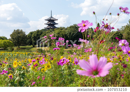 日本岡山縣總社市備中分寺的美麗秋景 107853210