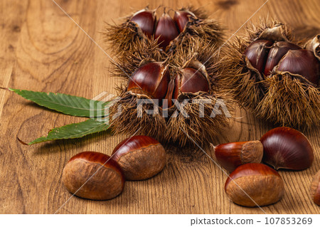 伊賀栗子 107853269