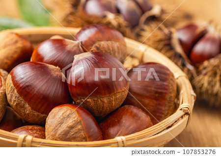 伊賀栗子 伊賀栗子 107853276