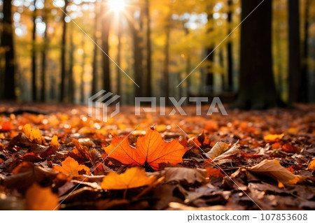 An autumn background with a dense forest, tree branches with vibrant red and orange leaves An autumn background with a dense forest, tree branches with vibrant red and orange leaves 107853608