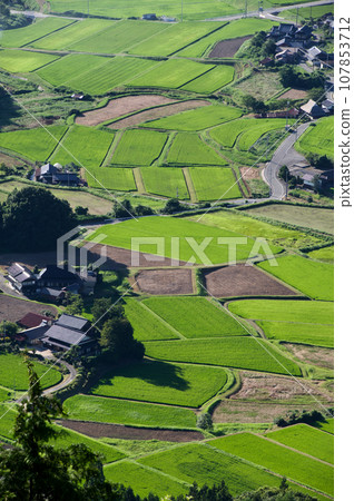 Rural landscape, summer rice, rice terraces in Mikawachi, view from Mt. Triplets Rural landscape, summer rice, rice terraces in Mikawachi, view from Mt. Triplets 107853712