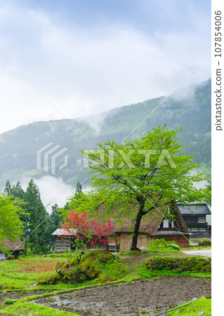 Morning at Ainokura Gassho-zukuri village in Gokayama Morning at Ainokura Gassho-zukuri village in Gokayama 107854006