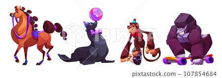 Circus animals during performance. 107854684