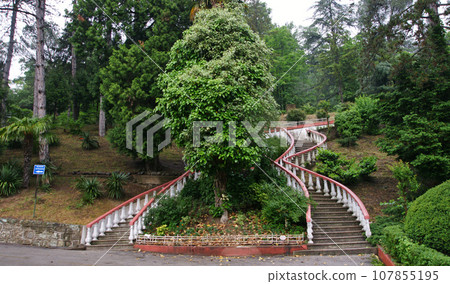 Naturel Life 107855195