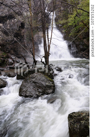 Naturel Life Naturel Life 107855202