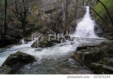 Naturel Life 107855204