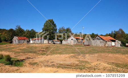 Naturel Life Naturel Life 107855209