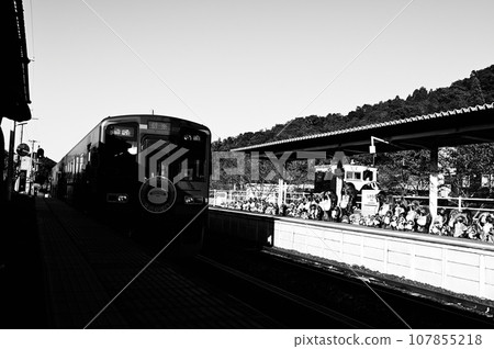 信樂站的浣熊娃娃和火車，黑白照片 107855218