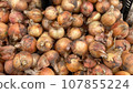 onions  107855224