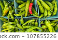 hot peppers  107855226