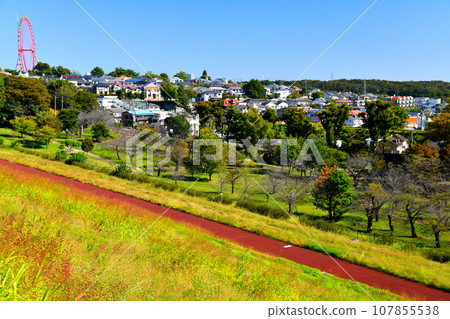 Tama Lake Weir/View towards Higashimurayama from Sayama Park (Higashimurayama City, Tokyo) [2023.10] 107855538