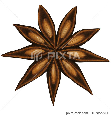 Big Christmas Watercolor Anise Star clip art Big Christmas Watercolor Anise Star clip art 107855811