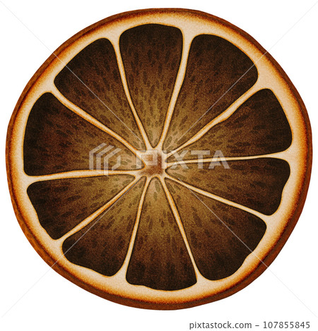 Cute big dry orange slice Cute big dry orange slice 107855845