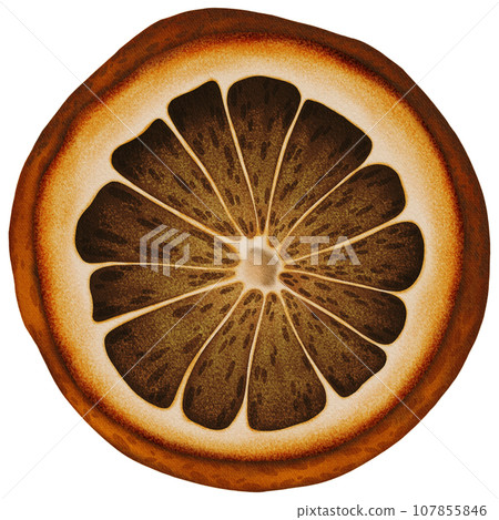 Cute small dry orange slice Cute small dry orange slice 107855846
