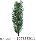 Cute realistic spruce branch with one small cone 107855911