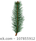 Cute realistic spruce branch with little cones 107855912