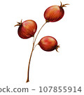 Cute stick with three red berries 107855914
