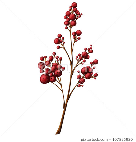 Cute Big branch with red berries 107855920