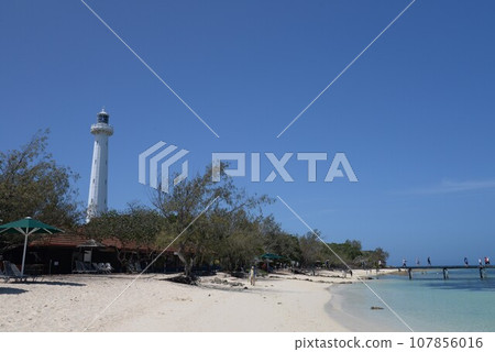 New Caledonia Amedee Island Amedee Island 107856016