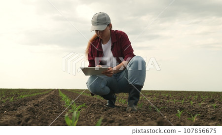 farmer field land corn tablet, fresh corn sprouts grow farm, green young sprout, agriculture, visual study people, outdoor landscape, crop health, businessman combine remote, seedling equipment farmer field land corn tablet, fresh corn sprouts grow farm, green young sprout, agriculture, visual study people, outdoor landscape, crop health, businessman combine remote, seedling equipment 107856675
