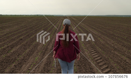 farmer walks boots ground, working with tablet farm, business agriculture, farming, young corn sprouts field, farmer rubber boots walks through corn field summer, senior man works corn field farm, oil farmer walks boots ground, working with tablet farm, business agriculture, farming, young corn sprouts field, farmer rubber boots walks through corn field summer, senior man works corn field farm, oil 107856676