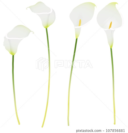 顏色 1 顏色 1 107856881