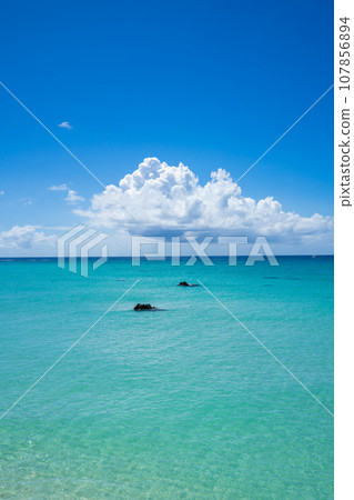 End 17 宮古島海岸上空飄浮著夏日的雲彩 107856894