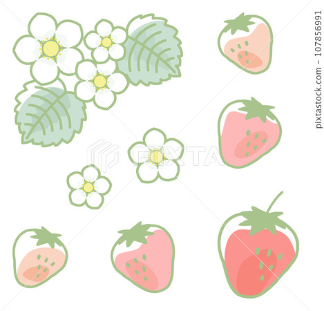 Cute strawberry and flower illustration set 107856991