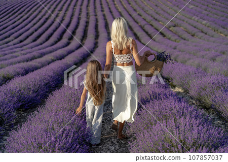 a beautiful girl with brown hair and a blonde girl in white dresses walk together through a lavender field a beautiful girl with brown hair and a blonde girl in white dresses walk together through a lavender field 107857037