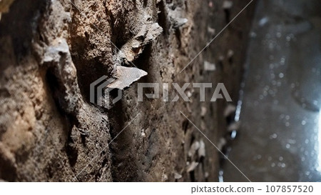 A wall with pottery fragments stuck in the Yamauchi Maruyama ruins in Aomori City, Aomori Prefecture A wall with pottery fragments stuck in the Yamauchi Maruyama ruins in Aomori City, Aomori Prefecture 107857520