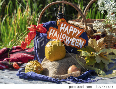 Pumpkins with fesalis in a wicker basket. Autumn decor for Halloween or Thanksgiving in nature Pumpkins with fesalis in a wicker basket. Autumn decor for Halloween or Thanksgiving in nature 107857583