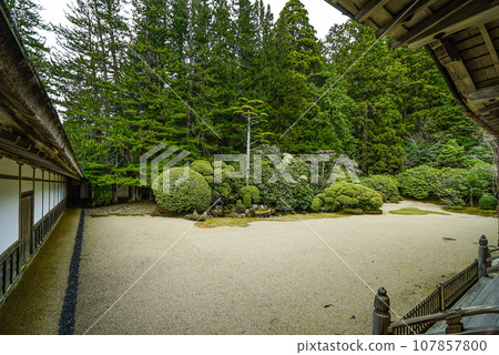 高野山真言宗總本山金剛峰寺/庭院 107857800