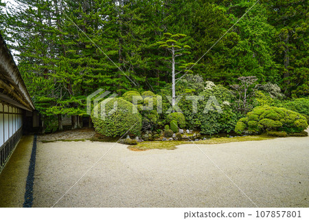 Koyasan Shingon sect head temple Kongobuji Temple/Courtyard 107857801