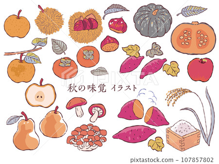 Cute autumn illustration material B 107857802