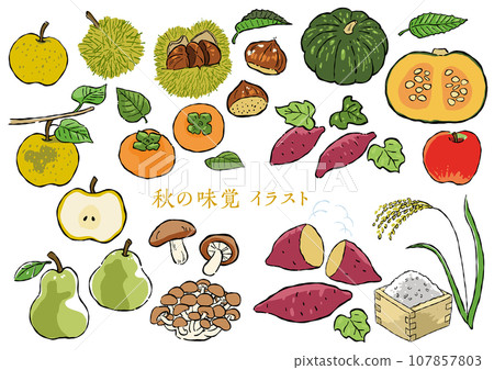 可愛的秋天插畫素材A 可愛的秋天插畫素材A 107857803