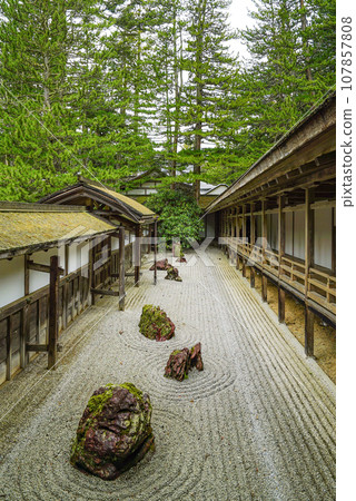 Koyasan Shingon sect head temple Kongobuji/Karesansui small garden Koyasan Shingon sect head temple Kongobuji/Karesansui small garden 107857808