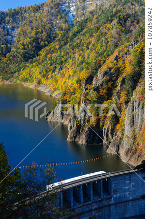 Hoheikyo Dam in autumn leaves_0128B 107859242