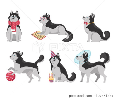 Set of cute and funny Siberian husky in different situations, flat vector illustration isolated on white background. 107861275