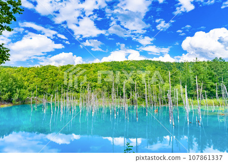 夏天北海道美瑛/富良野的藍色池塘 107861337