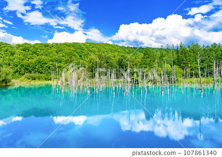 Blue pond in Biei/Furano, Hokkaido in summer 107861340