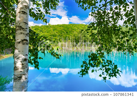 Blue pond in Biei/Furano, Hokkaido in summer 107861341