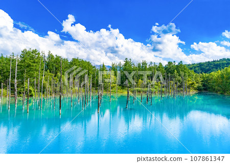Blue pond in Biei/Furano, Hokkaido in summer 107861347