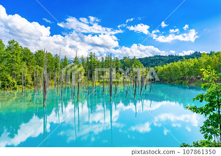 Blue pond in Biei/Furano, Hokkaido in summer 107861350