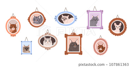 Wall with framed portraits of purebred cats, flat vector illustration isolated. 107861363