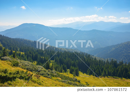 mountainous landscape of ukrainian highlands in summer. view in to the distant chornohora ridge. rolling scenery in bright sunny weather 107861572