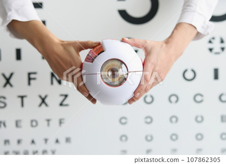 Ophthalmologist doctor holding part of eye model, oculus sample, healthcare Ophthalmologist doctor holding part of eye model, oculus sample, healthcare 107862305