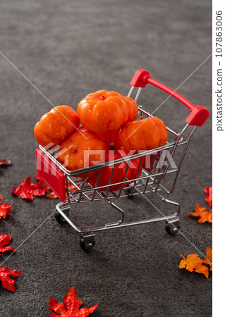 autumn shopping cart sale background Autumn shopping ショッピング autumn shopping cart sale background Autumn shopping ショッピング 107863006